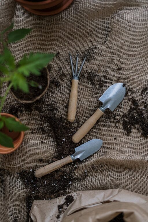 How to Start a Small Herb Garden Indoors: A Beginner’s Guide